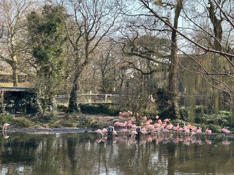 Private tour in Amsterdam